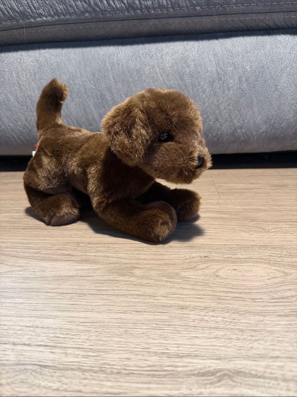 Retired Douglas C.C. Bean Chocolate Lab Plush Dog #1888 10”